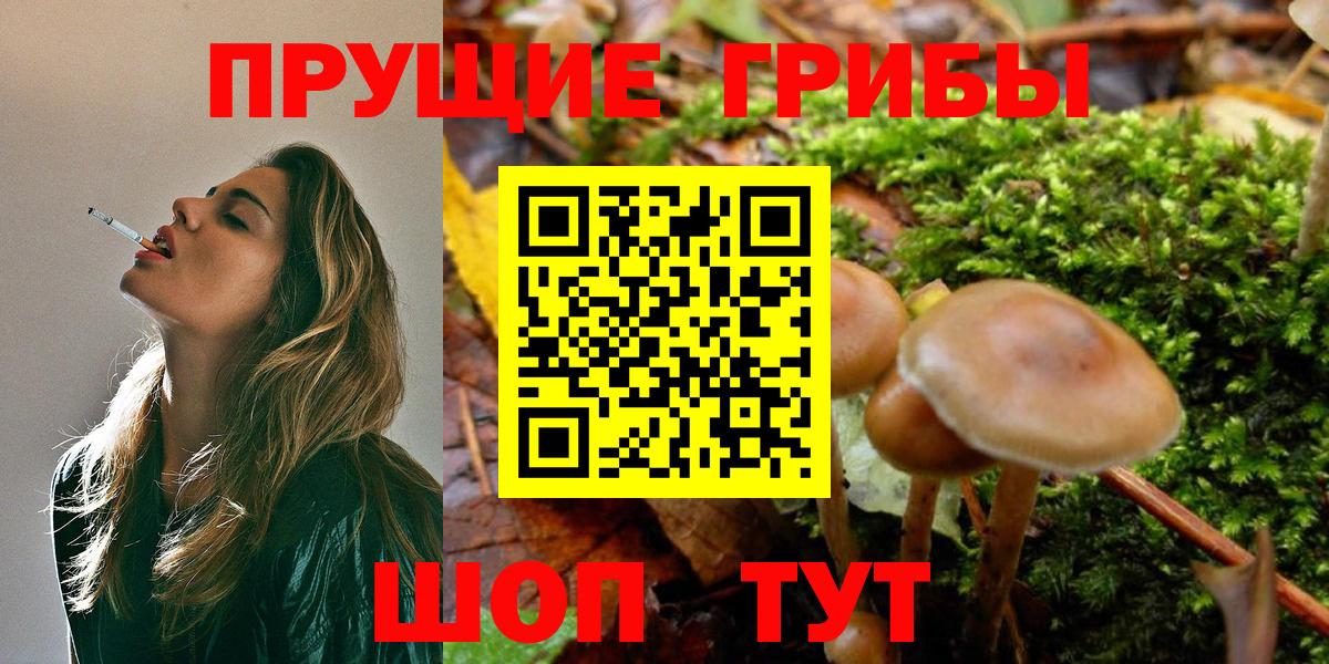 Псилоцибиновые грибы ЛСД  Вход с VPN  Галлюциногенные грибы GOLDEN TEACHER  Похвистнево 